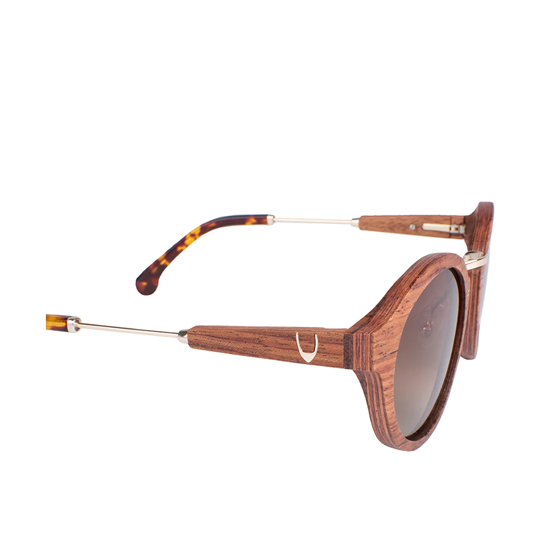 Masai-Wb187R Women's Brown Round Sunglasses - Image 5